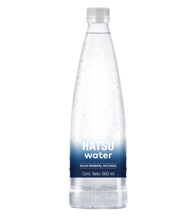 Imagen destacada del producto AGUA MINERAL NATURAL 600 ml