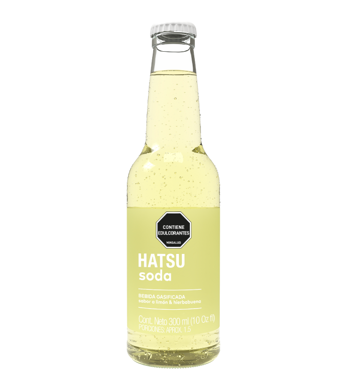 Imagen destacada del producto SODA LIMÓN & HIERBABUENA 300 ml