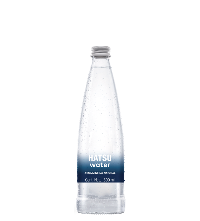 Imagen destacada de AGUA MINERAL NATURAL 300 ml