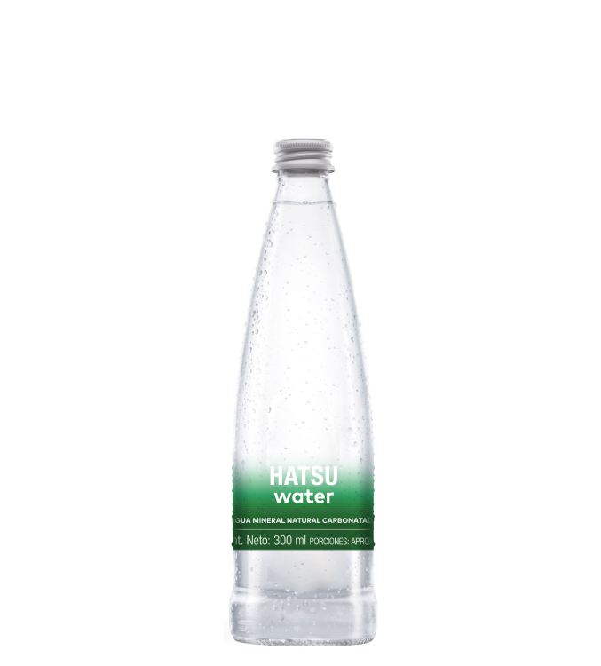 Imagen destacada de AGUA MINERAL NATURAL CARBONATADA 300 ml