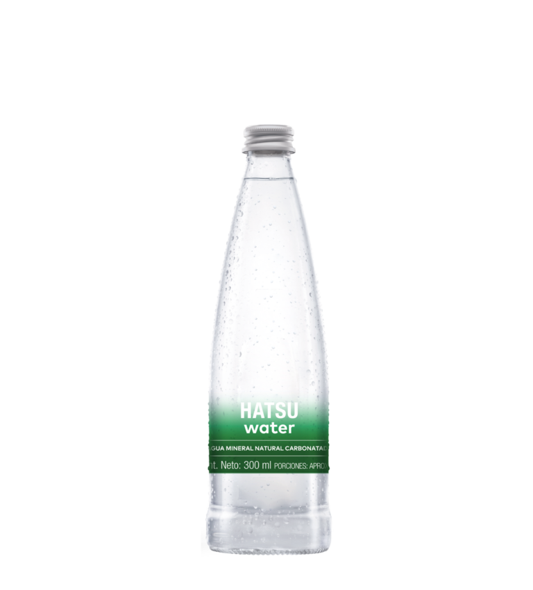 Imagen destacada de AGUA MINERAL NATURAL CARBONATADA 300 ml