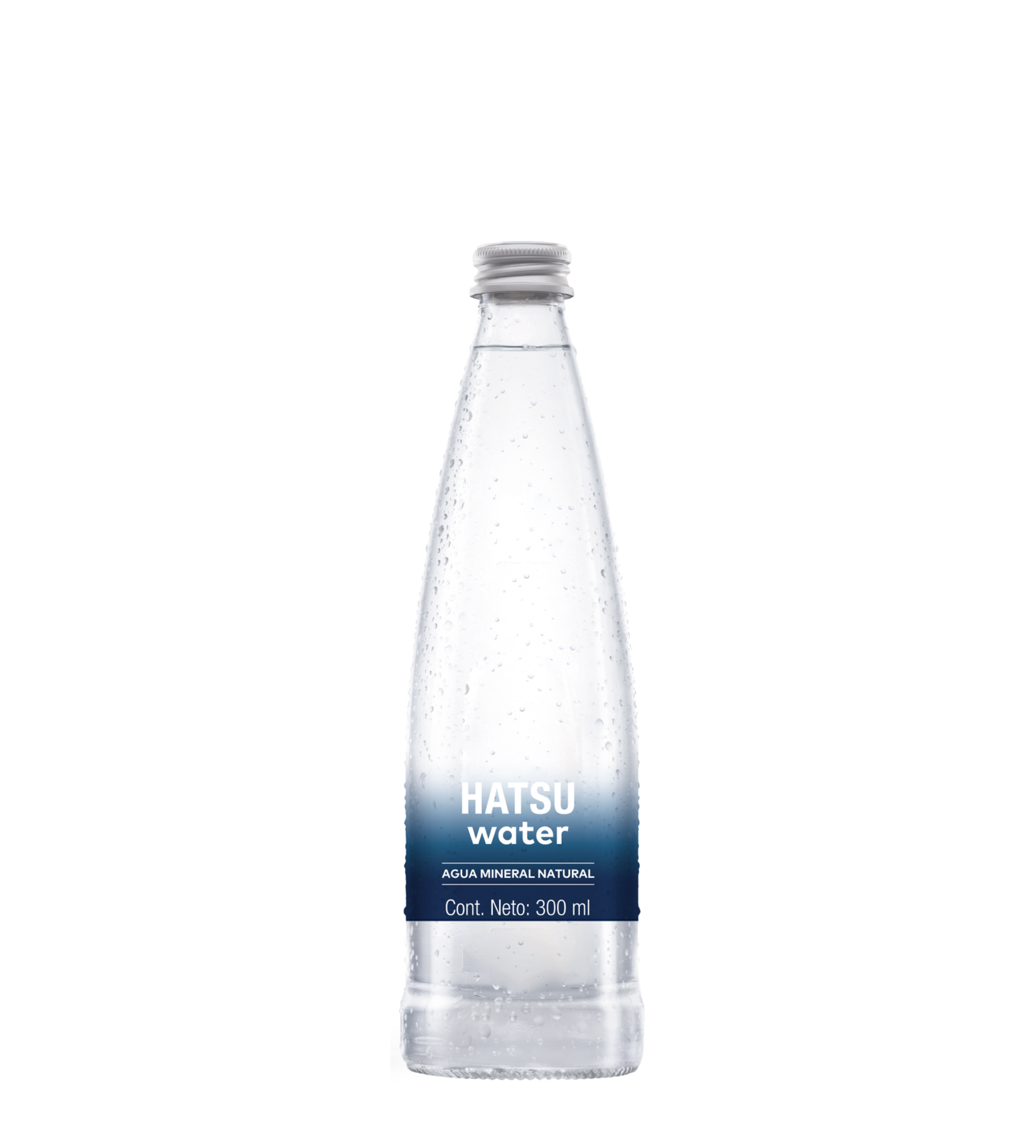 Imagen destacada del producto AGUA MINERAL NATURAL 300 ml
