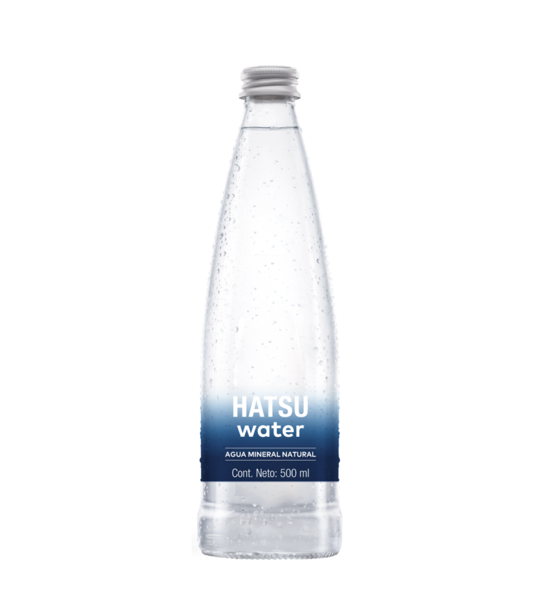 Imagen destacada de AGUA MINERAL NATURAL 500 ml