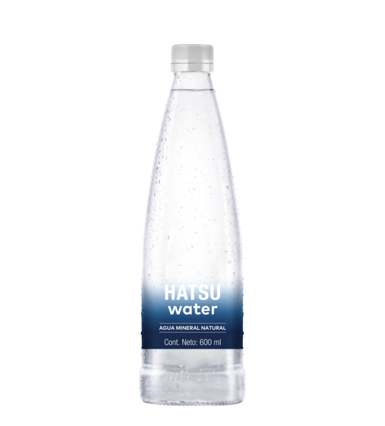 Imagen destacada de AGUA MINERAL NATURAL 600 ml