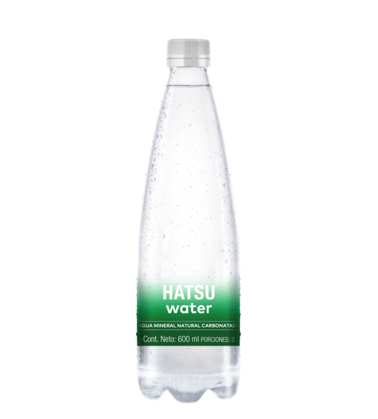 Imagen destacada de AGUA MINERAL NATURAL CARBONATADA 600 ml