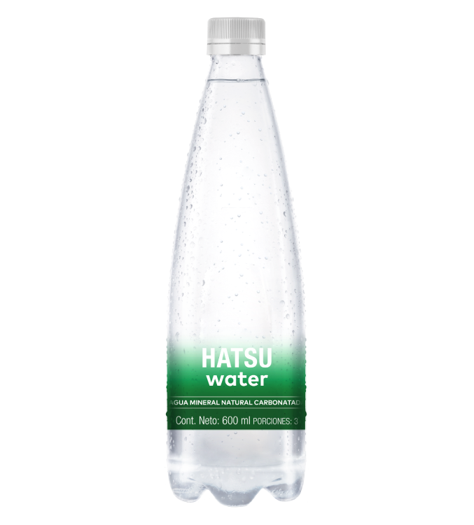 Imagen destacada de AGUA MINERAL NATURAL CARBONATADA 600 ml