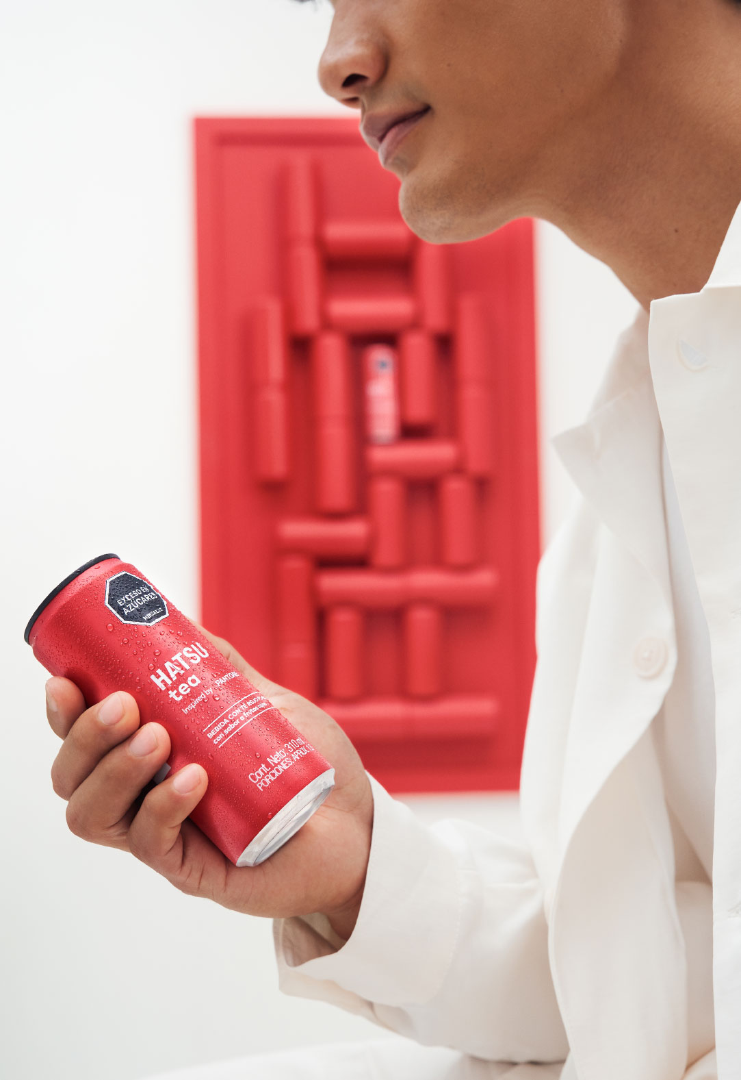 https://hatsu.co/wp-content/uploads/2026/07/PRODUCTOS-PANTONE-19.jpg